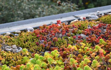 the cost of Dolphinholme green roof installation