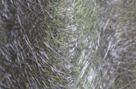 Dolphinholme fibreglass roof work